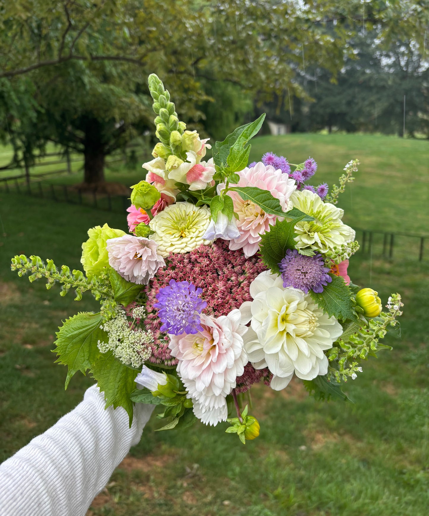 AUGUST Floral Subscription
